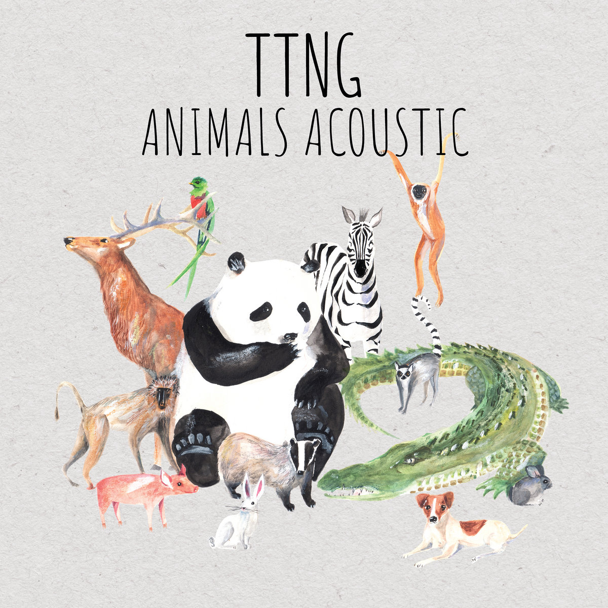 cover art for “Animals Acoustic”